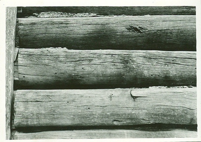 Pb SK Hlivištia Fagus.jpg